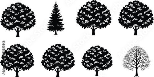 Tree silhouette set, black forest tree collection, oak pine and deciduous trees, isolated on white background, nature icon bundle for design, logo, illustration, branding
