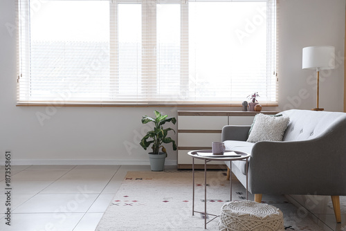 Interior of living room wit...
