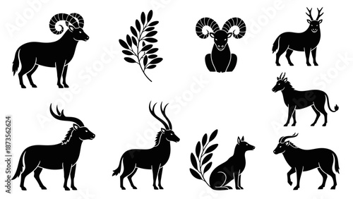 Tea Ceremony Tools, Traditional Utensils, Kitchen, Illustration, Japanese, Overhead View, Cultural Significance