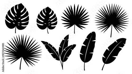 Bamboo Plants Illustration, Nature Art, Minimalist Design Style