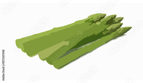 Realistic vector illustration of fresh green asparagus spears isolated on white background for food and healthy lifestyle design