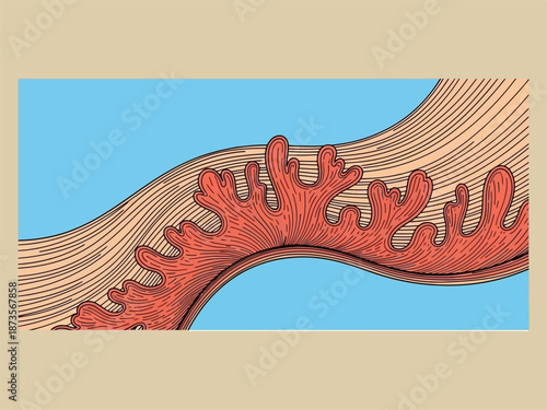 Red Coral Branch with Vibrant Details.