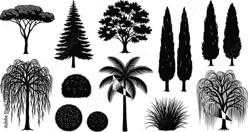 Set of black vector tree silhouettes including pine, palm, cypress, willow, and bushes isolated on white background for landscape design.