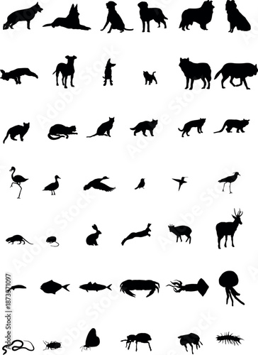 Large Animal and Insect Silhouette Collection, Pets, Wildlife, Birds, and Sea Life
