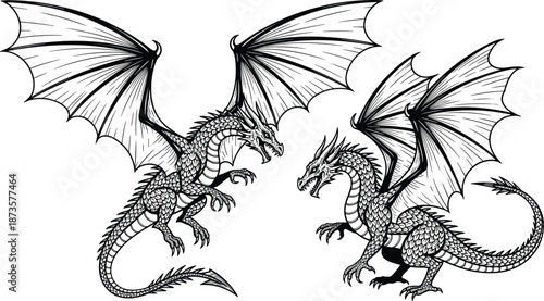 Black and white woodcut style illustration of two powerful winged dragons with scales and sharp claws for fantasy mythology and legendary creature concepts