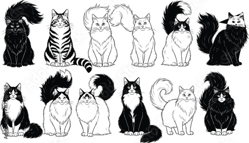 Large collection of black and white hand drawn sketches featuring fluffy long haired cats and kittens in various sitting poses for pet lover themes