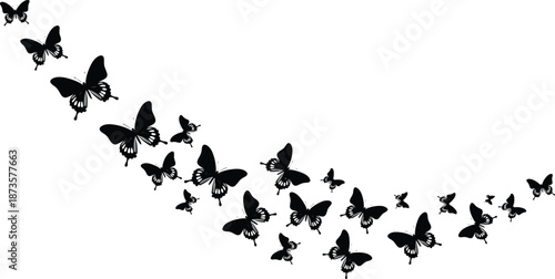 Large collection of black butterfly silhouettes flying in a wavy trail on white background for spring nature garden and delicate insect wing concepts