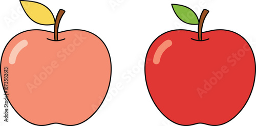 Fresh red and pink apple fruit vector illustration set with green leaves for healthy organic food nutrition designs.