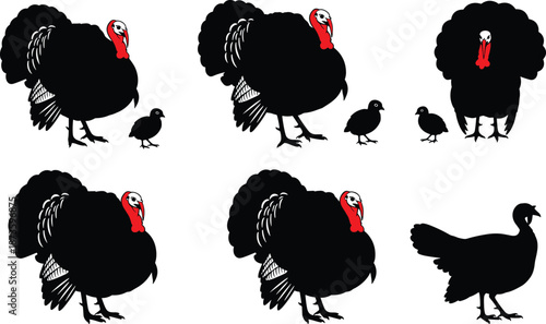 Turkey and chick silhouette illustration set with detailed feathers and poses, farm bird collection for Thanksgiving, poultry graphics and wildlife design