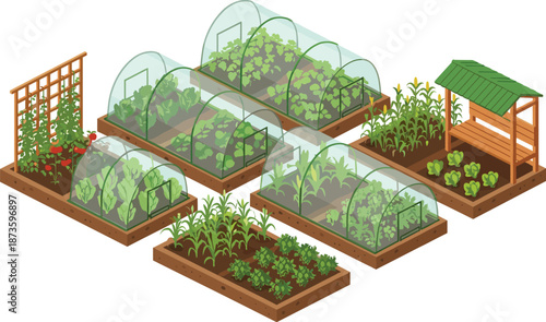 Vegetable garden illustration with raised beds, greenhouse tunnels, trellis plants, and crops growing in organized layout, home gardening agriculture concept artwork