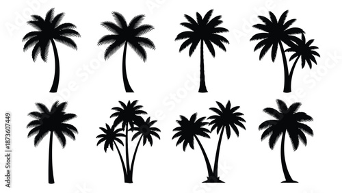 Palm tree silhouette set representing tropical beach summer vacation island and exotic nature landscape