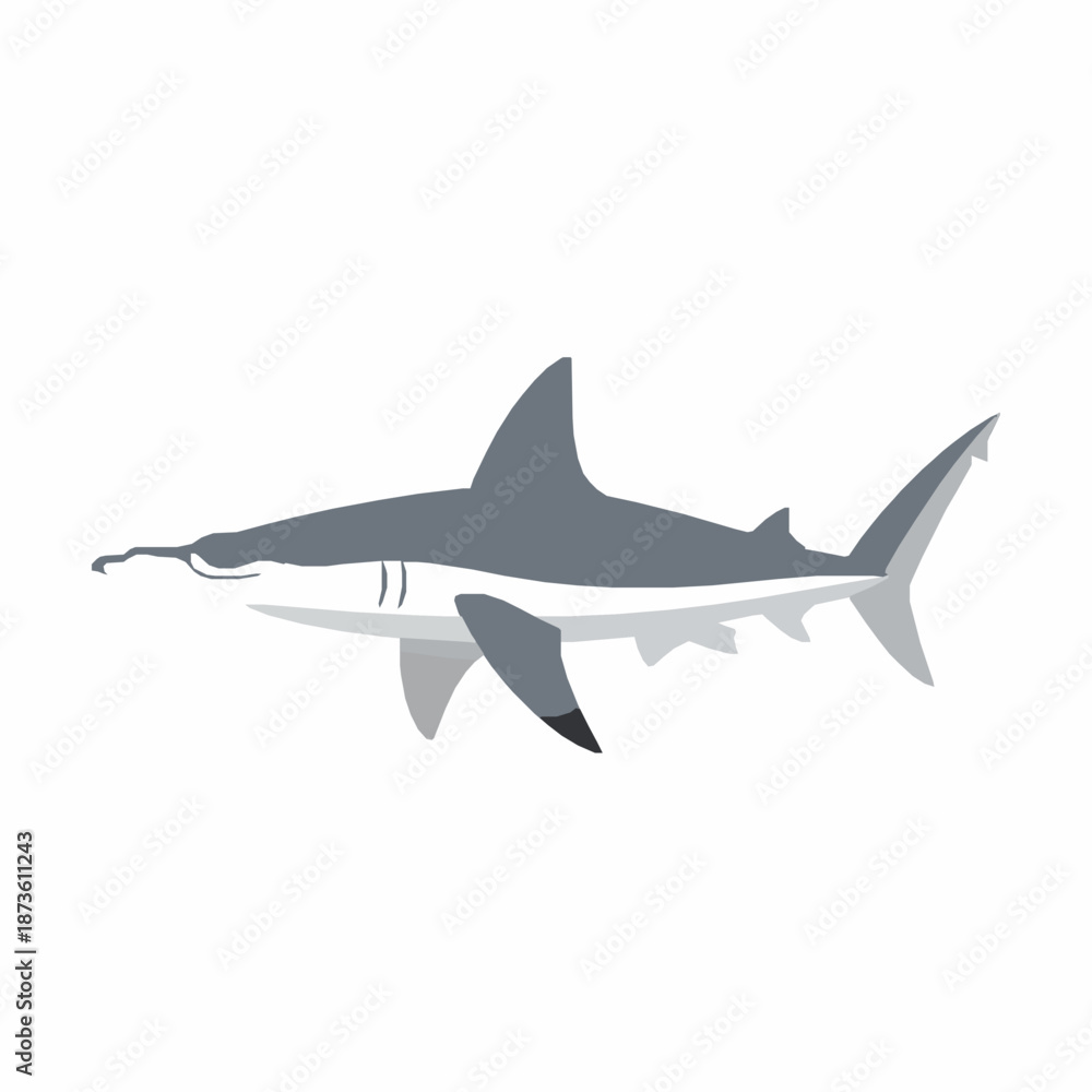 Obraz premium Marine biology species vector illustration with flat underwater animal scientific design isolated