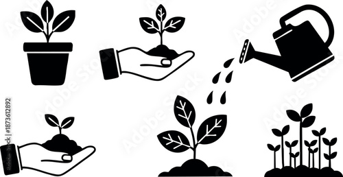 Plant growth icons with hands watering and sprouting seedling in black silhouette style for gardening and nature concepts vector illustration