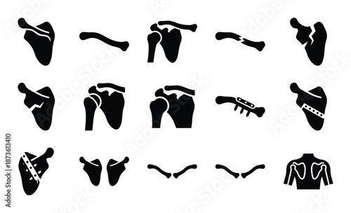 Shoulder joint anatomy vector graphic illustration of human body health medical orthopedic