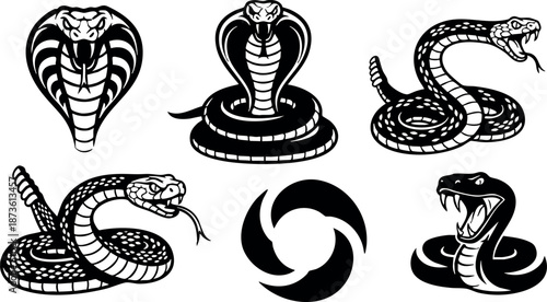 Cobra snake vector set with aggressive poses and striking hood displays for wildlife and reptile design elements