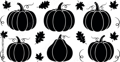 Black silhouette pumpkins with autumn leaves and vine tendrils seasonal harvest vector design