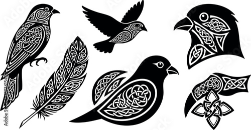 Celtic patterned birds and feather vector design elements with intricate tribal motifs and ornamental style for artistic decoration