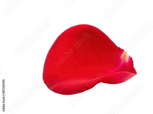 Single red rose petal isolated on transparent background
