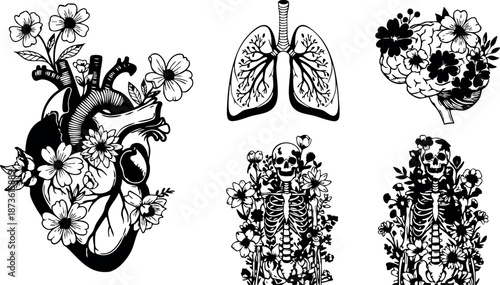 Anatomical heart lungs and skeleton with floral elements vector black and white design for medical art and nature fusion