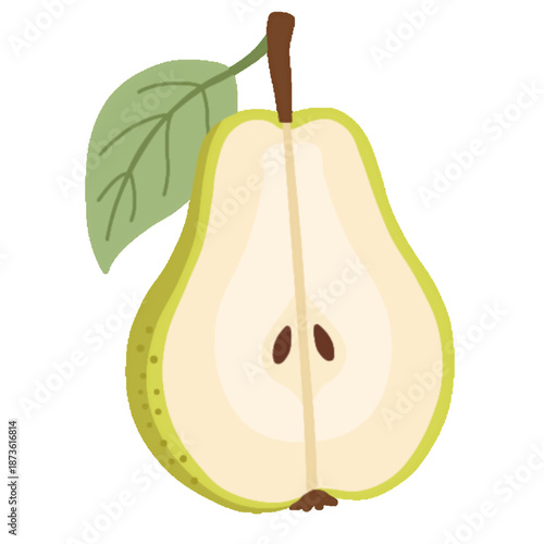Half of a green pear fruit with leaf and seeds flat illustration on white