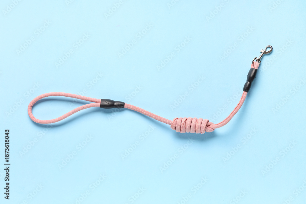Obraz premium Pet leash on blue background
