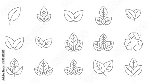 Collection of various delicate line icons representing different types of leaves and a recycling symbol for environmental design concepts.