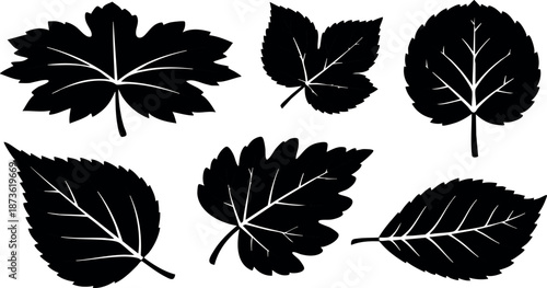 Collection of six black silhouette leaves in vector style with varied shapes and sizes for design and decoration purposes