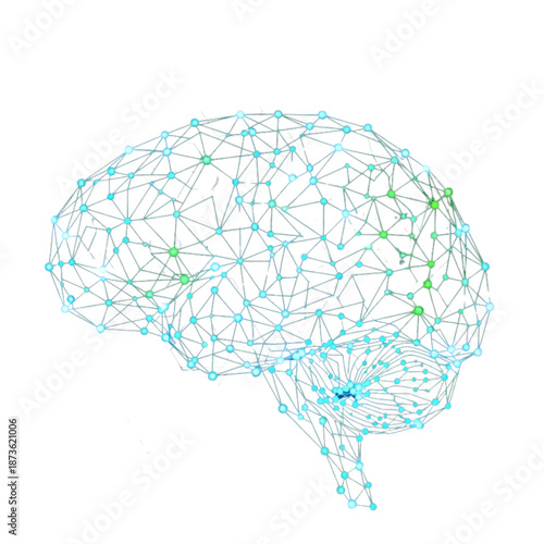 Human brain represented as a complex network of interconnected nodes and lines in shades of blue and green against a white background symbolizing cognitive functions and neural connections.