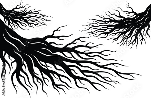 Tree Roots Silhouette Illustration.