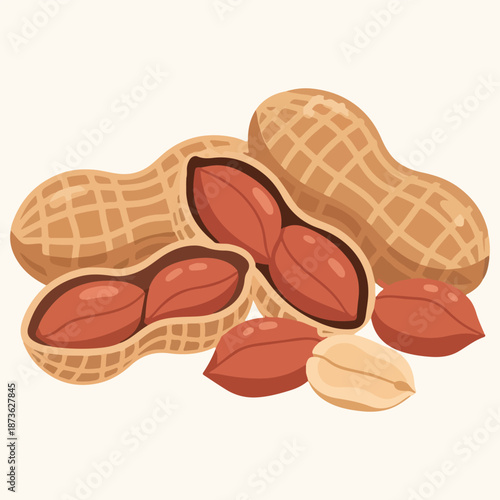 Peanuts Groundnuts in Shell and Peeled Vector Illustration