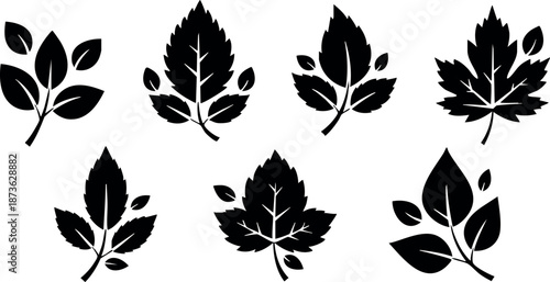 Black silhouette leaf shapes vector set with varied types and details natural botanical elements design