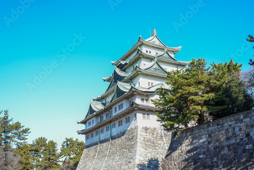 A view of the beautiful Nagoya Castle on a sunny day in the lush greenery of the park.