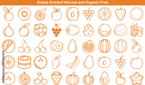 Assortment of global orchard harvest and organic fruit icons including apples and oranges
