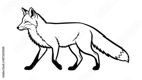 Elegant walking fox illustration in black and white minimal style drawing