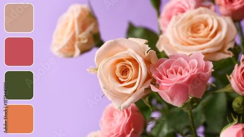 Bouquet of beautiful roses ...