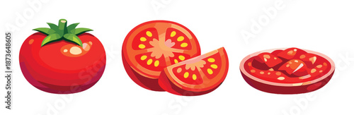 Vibrant cartoon tomato whole sliced and cooked illustrations on gradient background