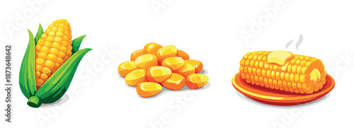 Corn varieties: fresh cob, kernels, steamed corn on plate