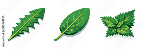 Illustration of vibrant green herbs with unique leaf patterns on dark background