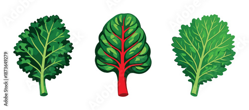 Vibrant leaf trio: kale, chard, and spinach on dark background