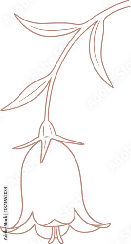 Simple line art bellflower with stem and leaf. Outline bloom drawing for coloring book, tattoo or greeting card. Vector illustration