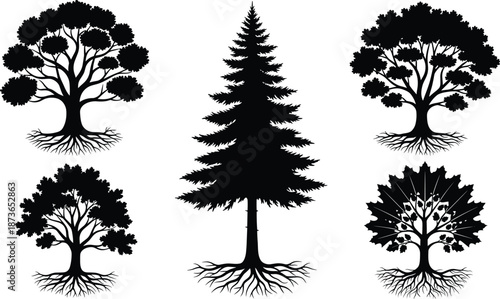 Collection of detailed tree silhouettes with visible roots featuring diverse species and natural shapes for botanical illustration, nature design, and education