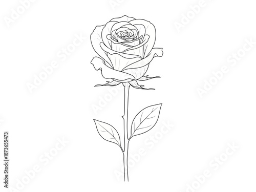 Elegant single line art rose drawing with detailed petals and leaves