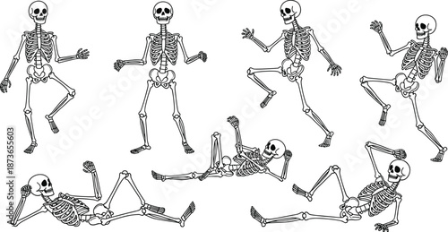 Collection of dancing skeleton illustrations showing funny poses, playful human bones, cartoon anatomy figures, Halloween themed artwork and humorous skeletal characters