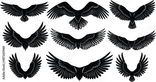 Collection of various eagle and bird wing silhouettes in flight, black vector wing icons for tattoo design, heraldry, logos, and nature illustrations,