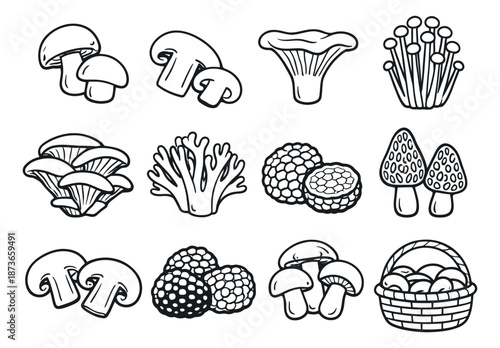 Hand drawn line art mushroom icon set featuring various edible fungi varieties and a basket for food, cooking, and nature concepts