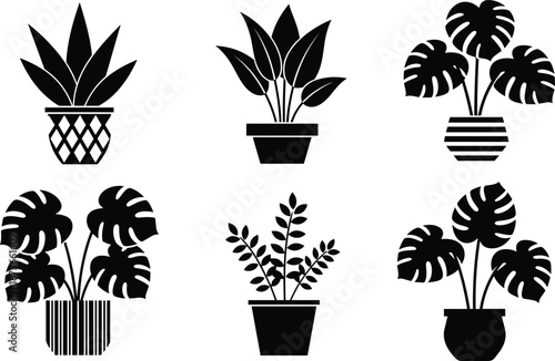 Collection of modern potted plant silhouettes featuring decorative houseplants and tropical leaves for interior decor design, botanical illustration, home styling graphics