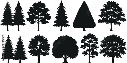 Collection of various tree silhouettes including pine, oak, and decorative shapes in black, isolated botanical forest elements for design