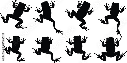 Collection of frog silhouettes in various jumping and climbing poses showing detailed legs and toes, perfect for wildlife illustration and nature design projects