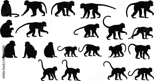 Collection of monkey silhouettes in various poses showing sitting, walking, climbing, and active movements for wildlife illustration, nature design, and animal graphics