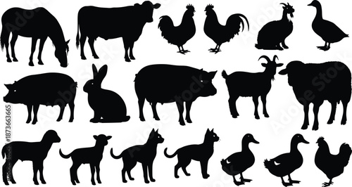 Farm animal silhouette collection, domestic livestock icons set, horse, cow, pig, sheep, goat, chicken, duck, rabbit, cat, organic agriculture, country life graphics, isolated on white background.